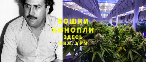 ПСИЛОЦИБИНОВЫЕ ГРИБЫ Белокуриха